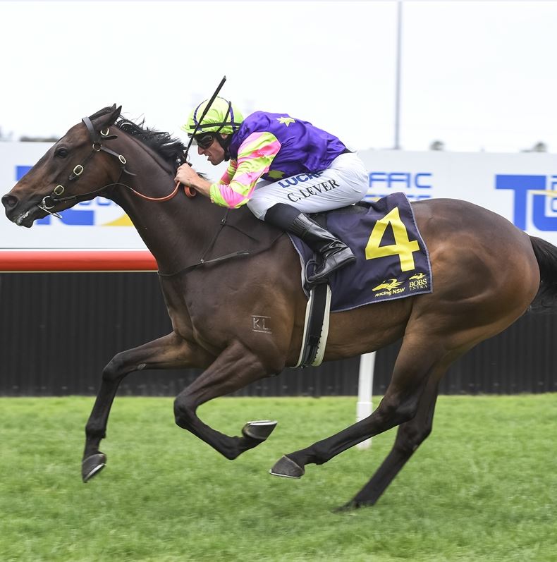 Sky racing - Sussex Inlet RSL Club